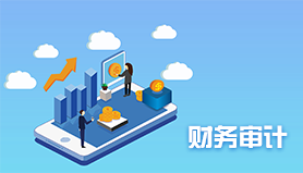 年度财务审计