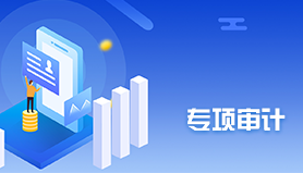 专项审计